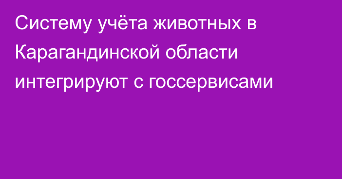 Систему учёта животных в Карагандинской области интегрируют с госсервисами