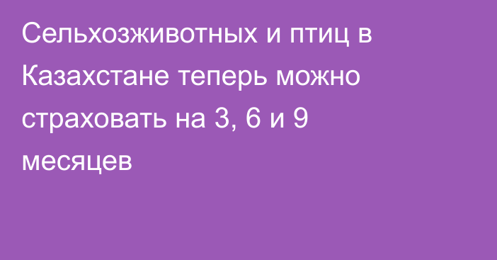 Сельхозживотных и птиц в Казахстане теперь можно страховать на 3, 6 и 9 месяцев