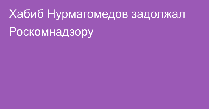 Хабиб Нурмагомедов задолжал Роскомнадзору