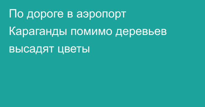 По дороге в аэропорт Караганды помимо деревьев высадят цветы