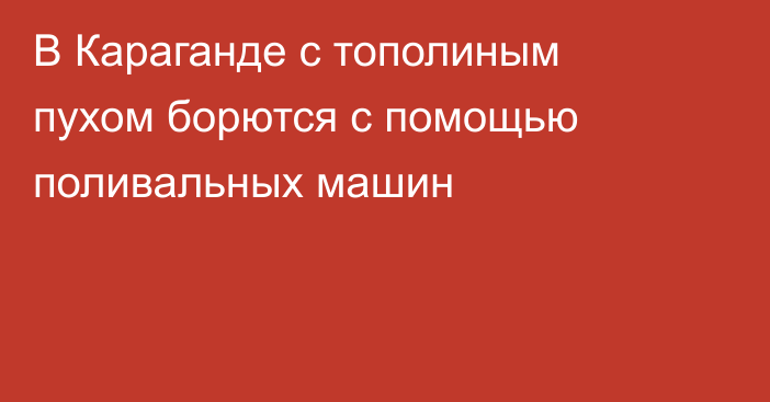 В Караганде с тополиным пухом борются с помощью поливальных машин