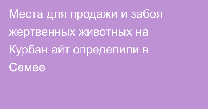 Места для продажи и забоя жертвенных животных на Курбан айт определили в Семее