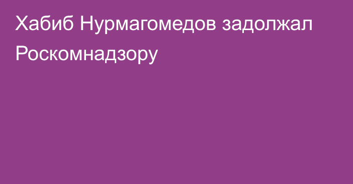 Хабиб Нурмагомедов задолжал Роскомнадзору