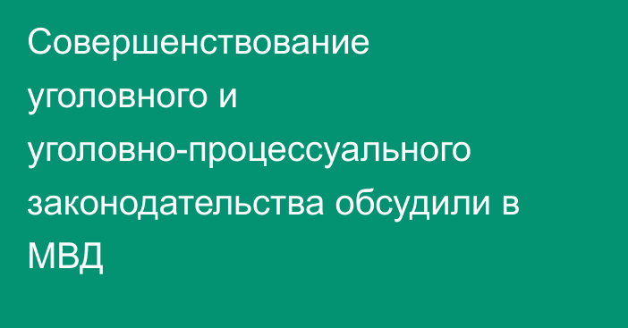 Совершенствование уголовного и уголовно-процессуального законодательства обсудили в МВД