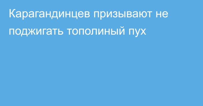 Карагандинцев призывают не поджигать тополиный пух