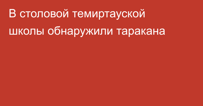 В столовой темиртауской школы обнаружили таракана