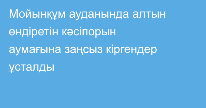 Мойынқұм ауданында алтын өндіретін кәсіпорын аумағына заңсыз кіргендер ұсталды