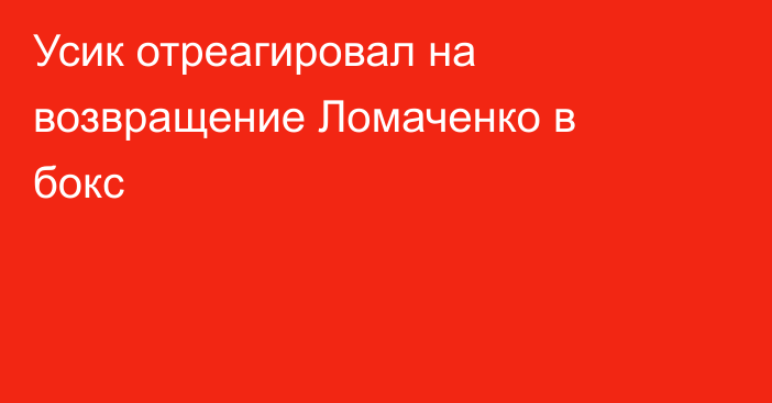 Усик отреагировал на возвращение Ломаченко в бокс