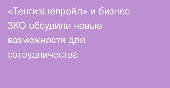 «Тенгизшевройл» и бизнес ЗКО обсудили новые возможности для сотрудничества