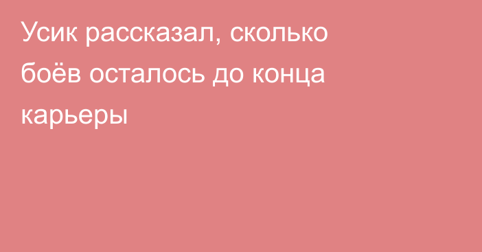 Усик рассказал, сколько боёв осталось до конца карьеры