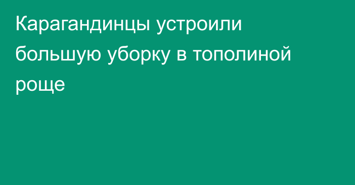 Карагандинцы устроили большую уборку в тополиной роще