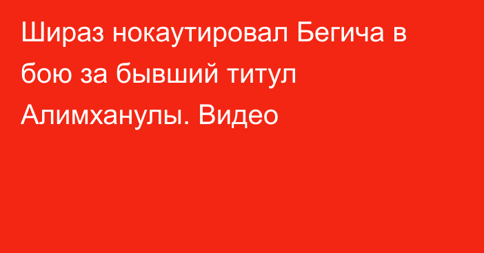 Шираз нокаутировал Бегича в бою за бывший титул Алимханулы. Видео