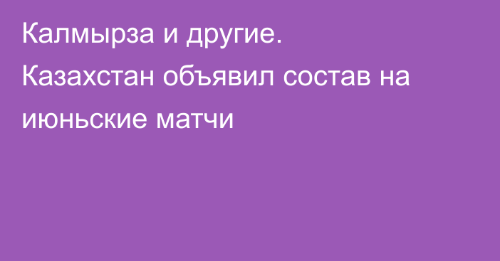 Калмырза и другие. Казахстан объявил состав на июньские матчи
