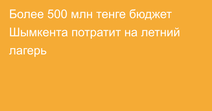 Более 500 млн тенге бюджет Шымкента потратит на летний лагерь