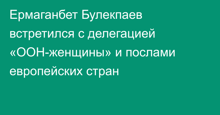 Ермаганбет Булекпаев встретился с делегацией «ООН-женщины» и послами европейских стран