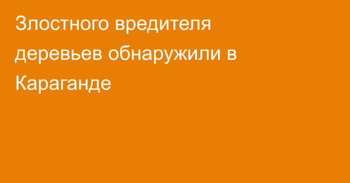 Злостного вредителя деревьев обнаружили в Караганде