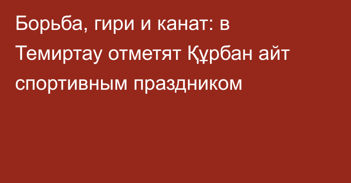 Борьба, гири и канат: в Темиртау отметят Құрбан айт спортивным праздником