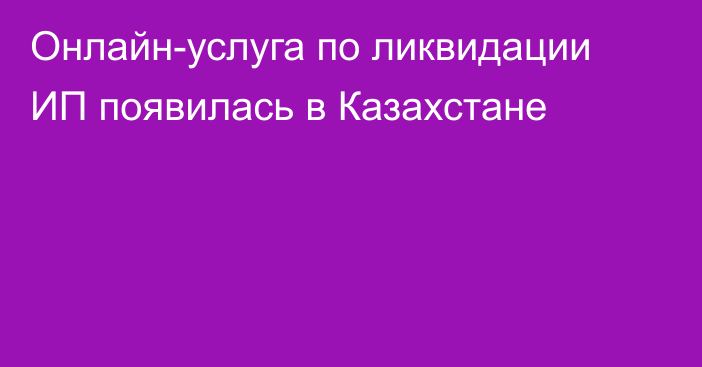 Онлайн-услуга по ликвидации ИП появилась в Казахстане