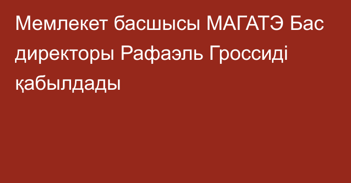 Мемлекет басшысы МАГАТЭ Бас директоры Рафаэль Гроссиді қабылдады