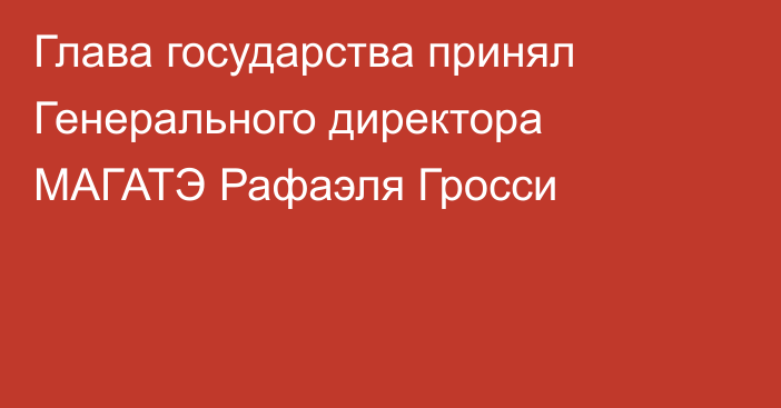 Глава государства принял Генерального директора МАГАТЭ Рафаэля Гросси