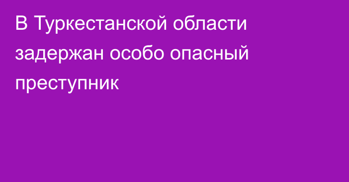 В Туркестанской области задержан особо опасный преступник