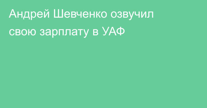 Андрей Шевченко озвучил свою зарплату в УАФ