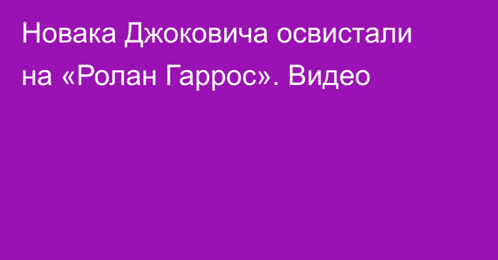 Новака Джоковича освистали на «Ролан Гаррос». Видео