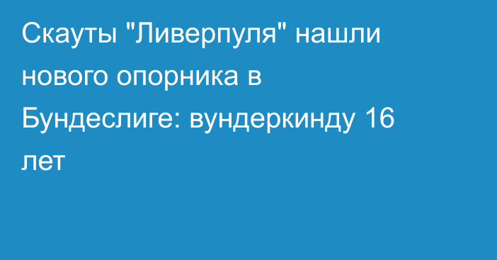 Скауты 