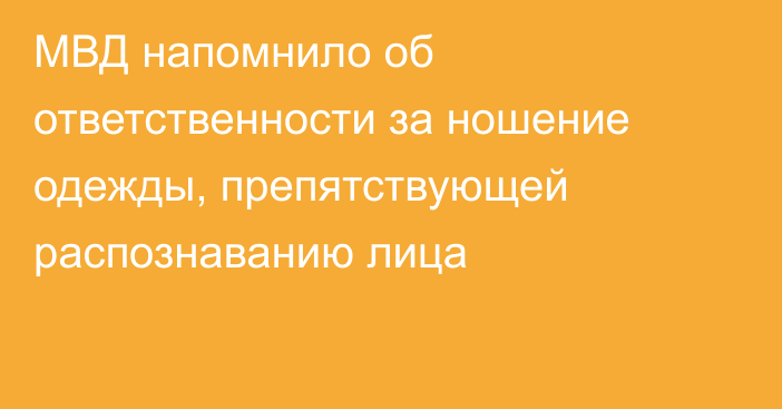 МВД напомнило об ответственности за ношение одежды, препятствующей распознаванию лица