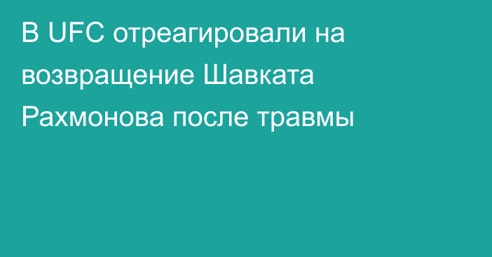 В UFC отреагировали на возвращение Шавката Рахмонова после травмы