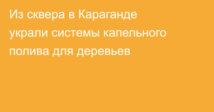 Из сквера в Караганде украли системы капельного полива для деревьев