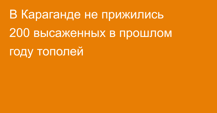 В Караганде не прижились 200 высаженных в прошлом году тополей