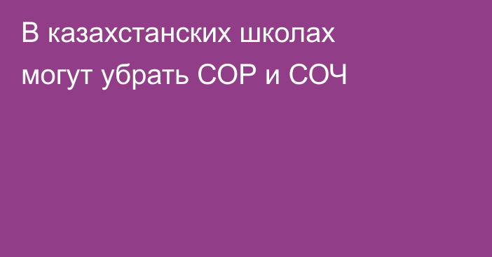 В казахстанских школах могут убрать СОР и СОЧ