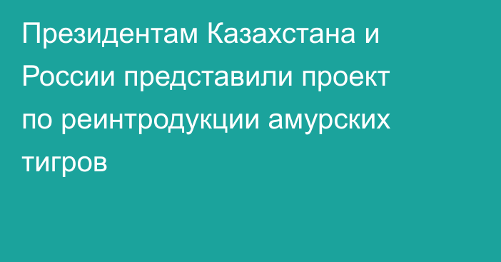 Президентам Казахстана и России представили проект по реинтродукции амурских тигров