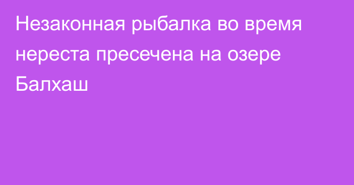 Незаконная рыбалка во время нереста пресечена на озере Балхаш