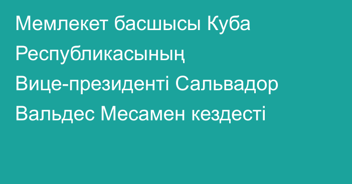 Мемлекет басшысы Куба Республикасының Вице-президенті Сальвадор Вальдес Месамен кездесті