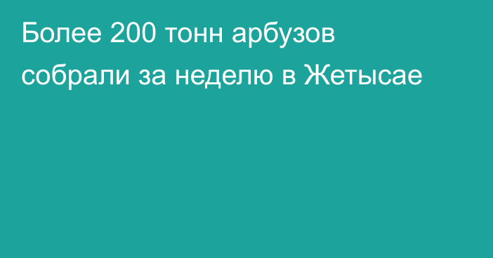 Более 200 тонн арбузов собрали за неделю в Жетысае
