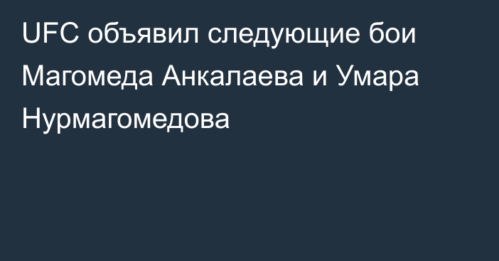 UFC объявил следующие бои Магомеда Анкалаева и Умара Нурмагомедова