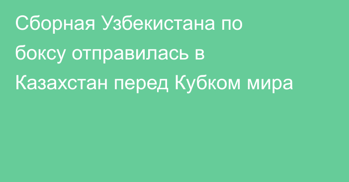 Сборная Узбекистана по боксу отправилась в Казахстан перед Кубком мира