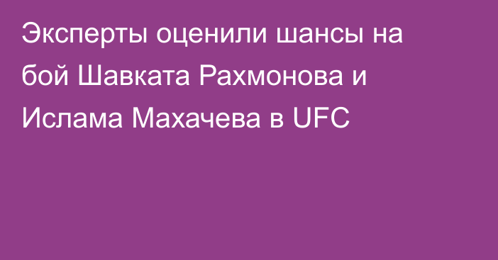 Эксперты оценили шансы на бой Шавката Рахмонова и Ислама Махачева в UFC