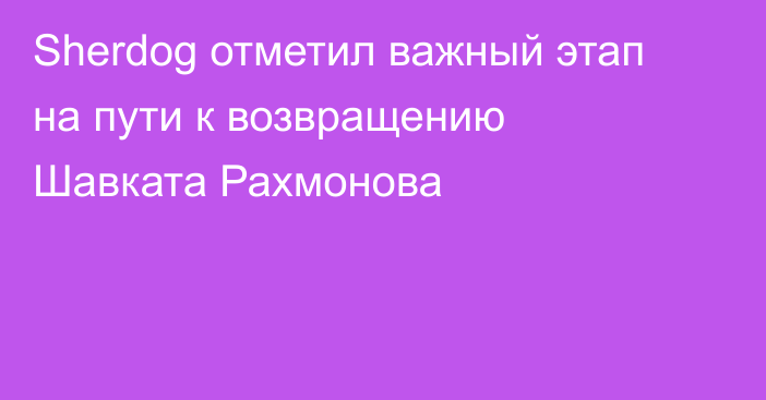 Sherdog отметил важный этап на пути к возвращению Шавката Рахмонова