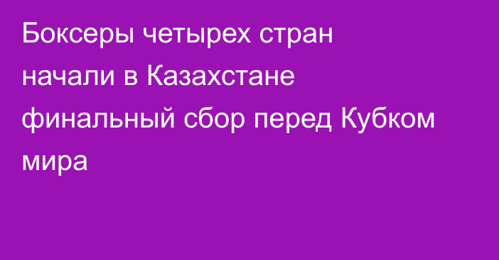 Боксеры четырех стран начали в Казахстане финальный сбор перед Кубком мира