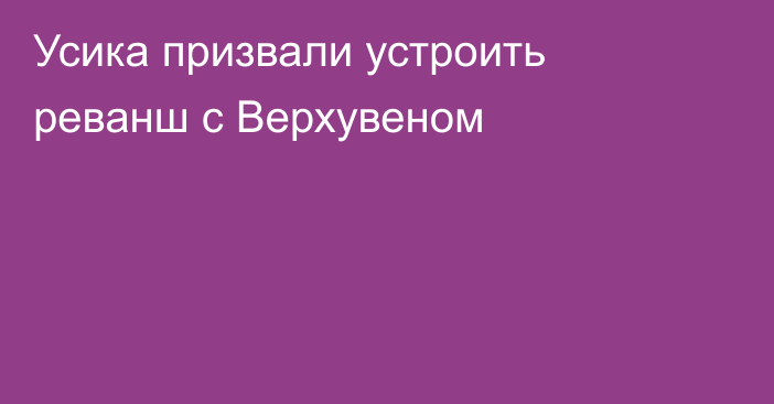 Усика призвали устроить реванш с Верхувеном