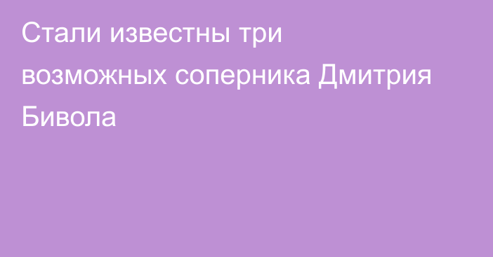 Стали известны три возможных соперника Дмитрия Бивола