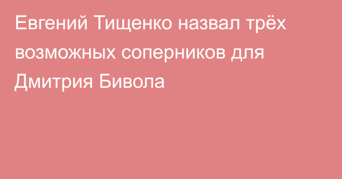 Евгений Тищенко назвал трёх возможных соперников для Дмитрия Бивола
