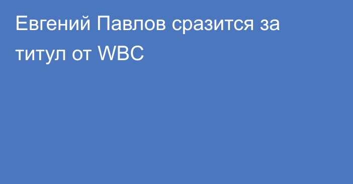 Евгений Павлов сразится за титул от WBC