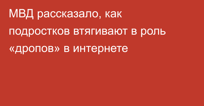 МВД рассказало, как подростков втягивают в роль «дропов» в интернете