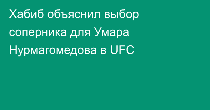 Хабиб объяснил выбор соперника для Умара Нурмагомедова в UFC