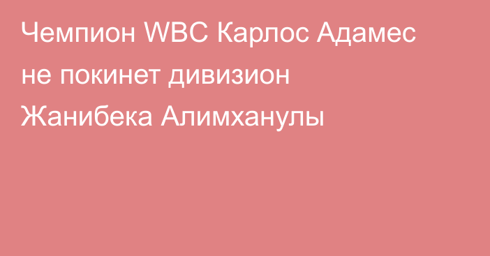 Чемпион WBC Карлос Адамес не покинет дивизион Жанибека Алимханулы