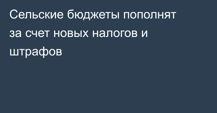 Сельские бюджеты пополнят за счет новых налогов и штрафов